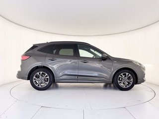 FORD Kuga 1.5 ecoblue st-line 2wd 120cv