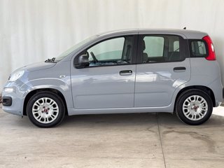 FIAT Panda 1.0 firefly hybrid city life s&s 70cv