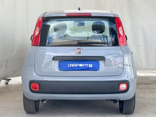 FIAT Panda 1.0 firefly hybrid city life s&s 70cv