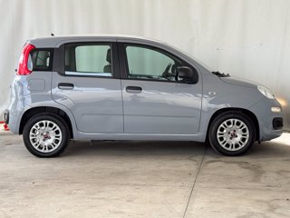 FIAT Panda 1.0 firefly hybrid city life s&s 70cv