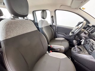 FIAT Panda 1.0 firefly hybrid s&s 70cv 5p.ti