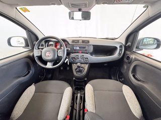 FIAT Panda 1.0 firefly hybrid s&s 70cv 5p.ti