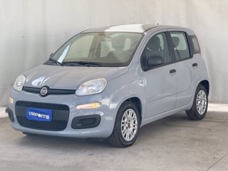 FIAT Panda 1.0 firefly hybrid city life s&s 70cv