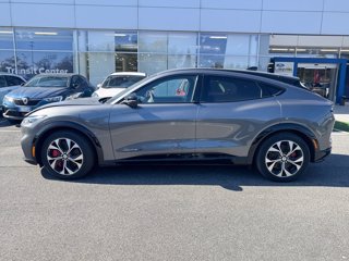 FORD Mustang mach-e standard range rwd 269cv auto