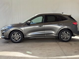 FORD Kuga 1.5 ecoblue st-line 2wd 120cv