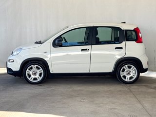 FIAT Panda 1.0 firefly hybrid s&s 70cv
