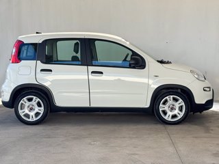 FIAT Panda 1.0 firefly hybrid s&s 70cv
