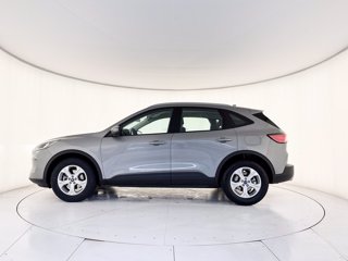 FORD Kuga 2.0 ecoblue mhev connect 2wd 150cv