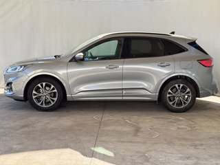 FORD Kuga 1.5 ecoblue st-line 2wd 120cv