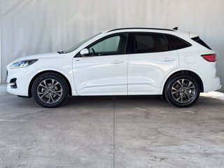 FORD Kuga 2.5 full hybrid st-line 2wd 190cv cvt