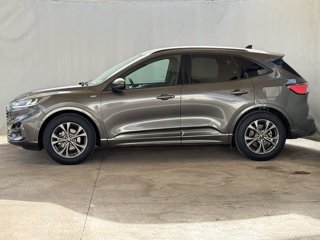 FORD Kuga 1.5 ecoblue st-line 2wd 120cv auto