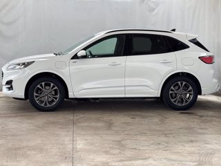 FORD Kuga 2.5 phev st-line x 2wd 225cv cvt