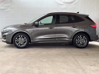 FORD Kuga 2.0 ecoblue st-line 2wd 120cv auto