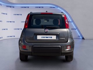 FIAT Panda 1.0 firefly hybrid city life s&s 70cv