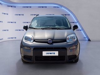 FIAT Panda 1.0 firefly hybrid city life s&s 70cv