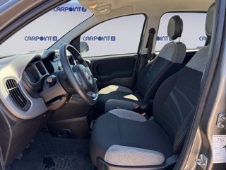 FIAT Panda 1.0 firefly hybrid city life s&s 70cv