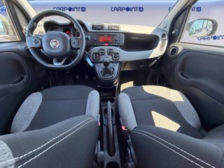 FIAT Panda 1.0 firefly hybrid city life s&s 70cv