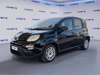 FIAT Panda 1.0 firefly hybrid city life s&s 70cv 5p.ti