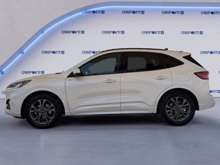FORD Kuga 2.5 full hybrid st-line 2wd 190cv cvt