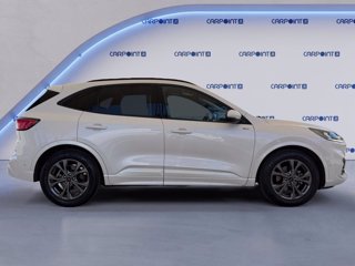 FORD Kuga 2.5 full hybrid st-line 2wd 190cv cvt