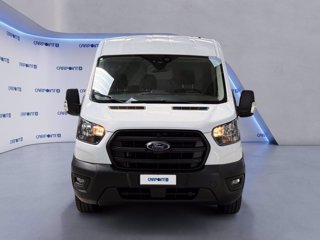 FORD Transit 330 2.0 tdci mhev 130cv trend l2h2 e6.2