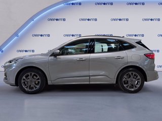 FORD Kuga 2.5 full hybrid st-line 2wd 190cv cvt