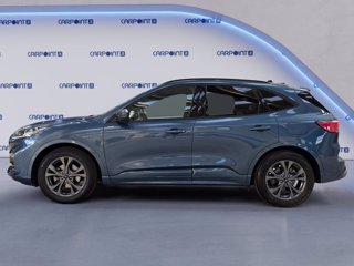 FORD Kuga 2.5 full hybrid st-line x 2wd 190cv cvt