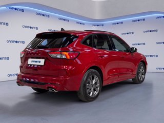 FORD Kuga 2.0 ecoblue st-line 2wd 120cv auto
