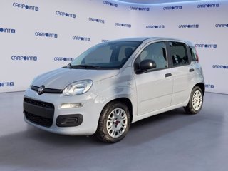 FIAT Panda 1.0 firefly hybrid city life s&s 70cv
